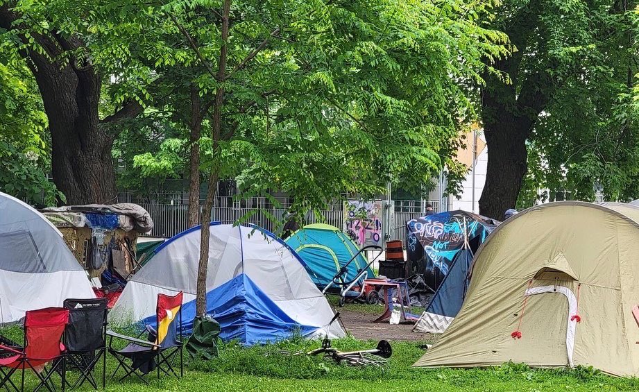 Tents in the Clarence Square encampment in summer 2022